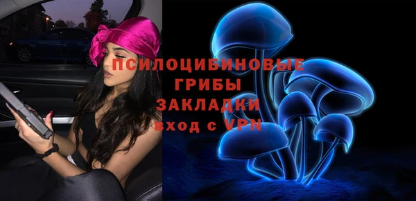 а пвп мука Аркадак