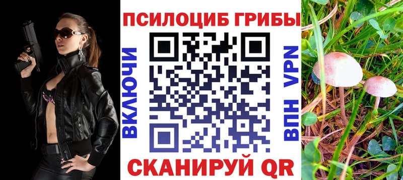 Псилоцибиновые грибы мицелий  Покачи 